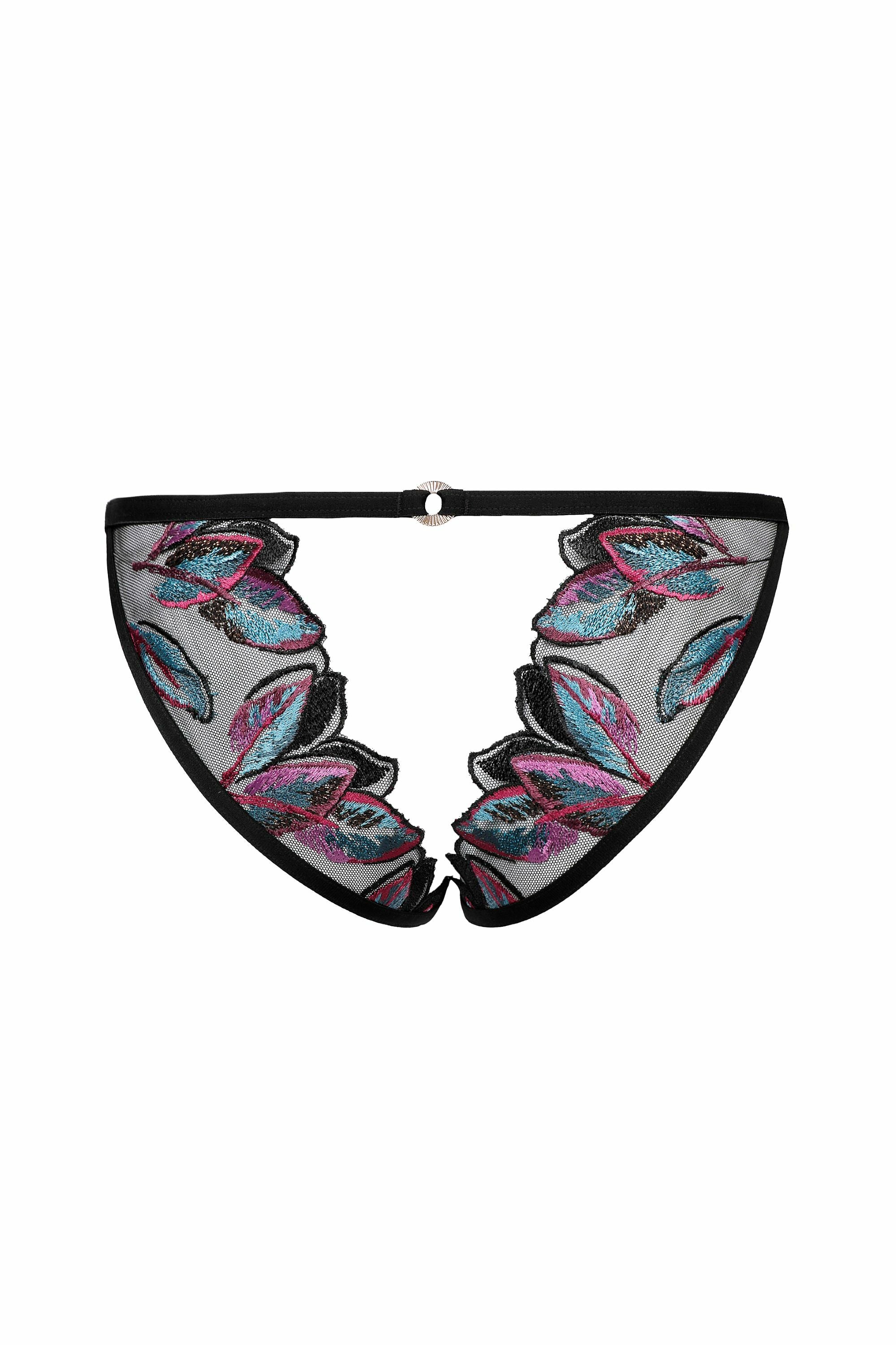 Open Brief Oiseau de Paradis