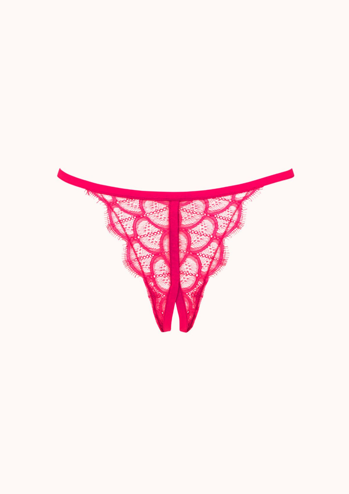 Forte Thong Panty Lipstick FORTE0343 - Lace & Day