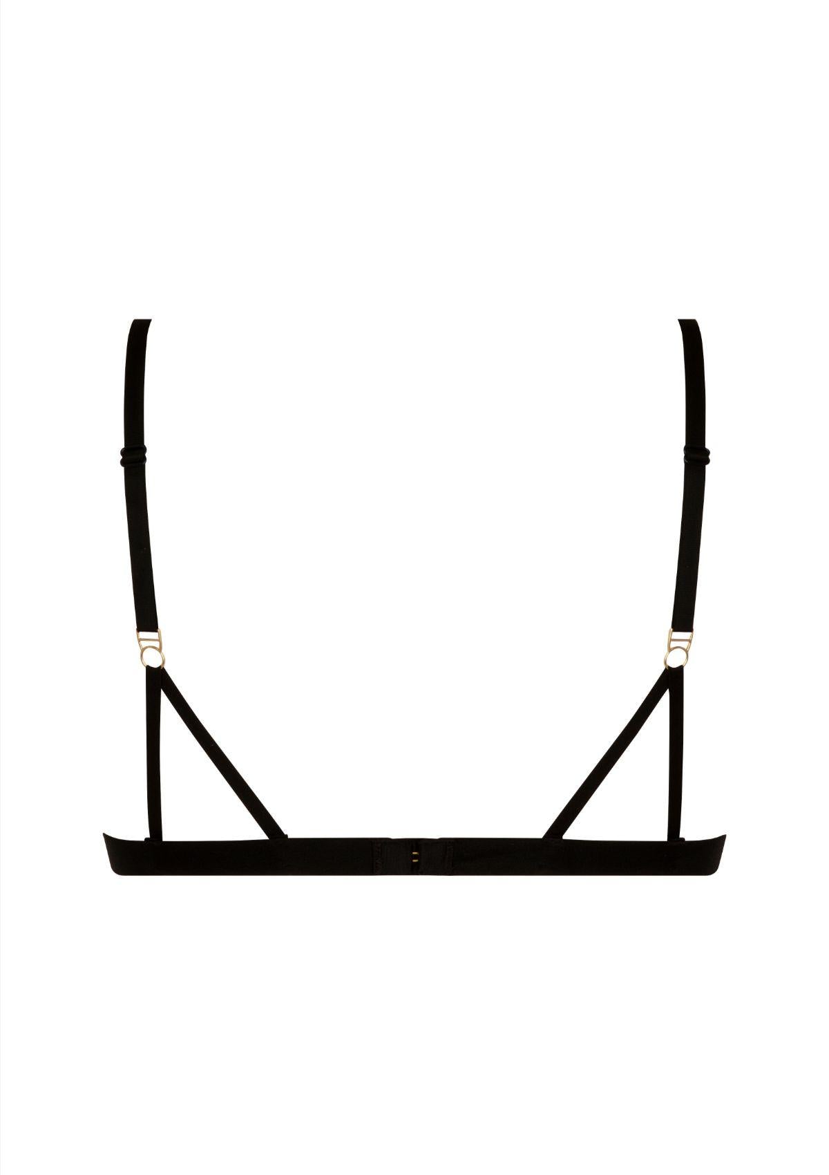 Triangle Cosmic Dream